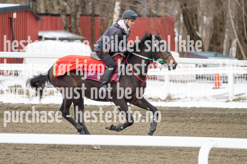20240406-110324-DSC_9633