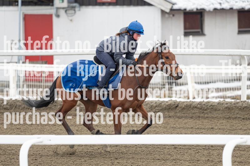 20240406-122357-DSC_9661