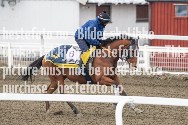 20240406-125748-DSC_0120