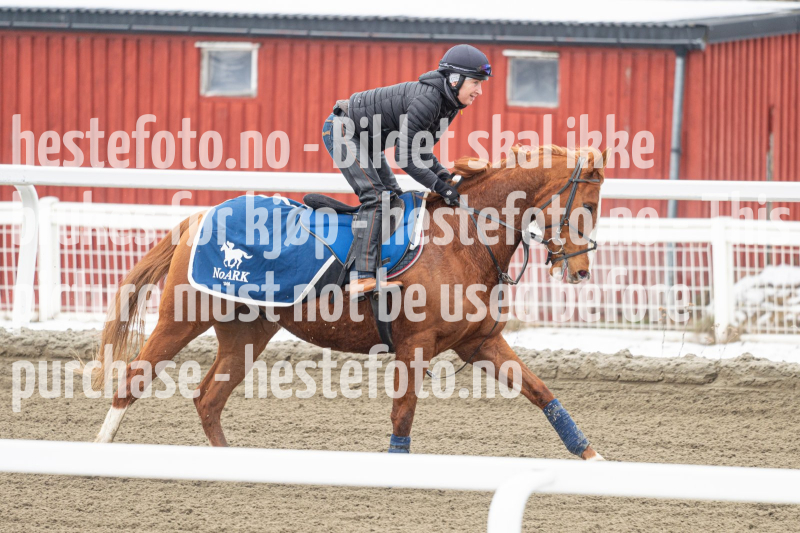20240406-130031-DSC_0204