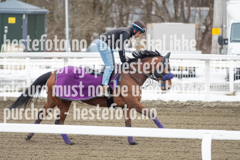 20240406-130655-DSC_0260