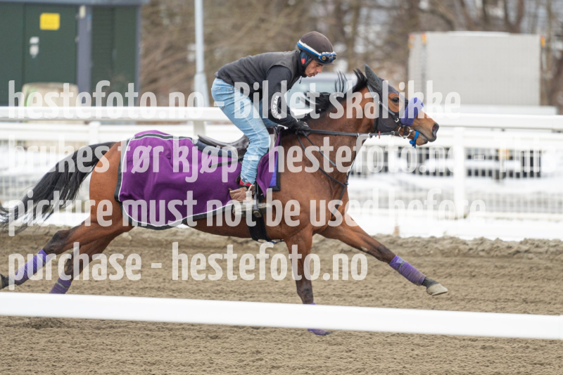 20240406-130919-DSC_0301