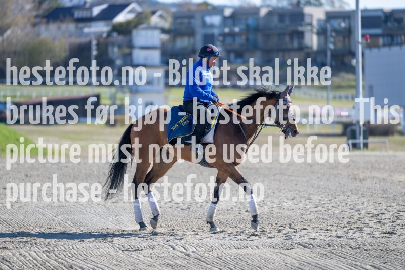 20230506-093222-DSC_3194