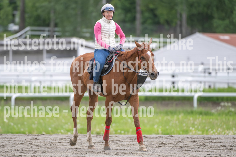 20260606-081904-DSC_0357