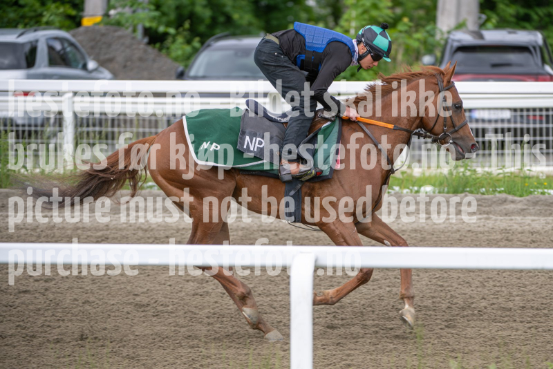 20260606-105050-DSC_3766