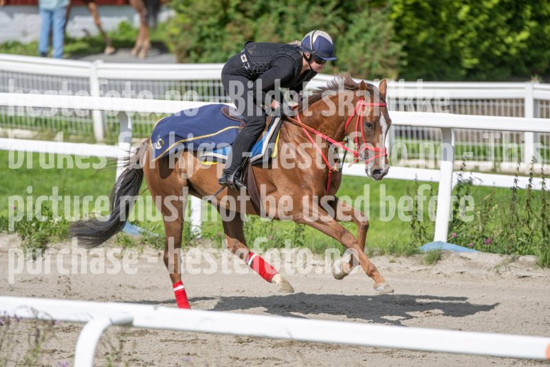 20240706-100111-DSC_3950