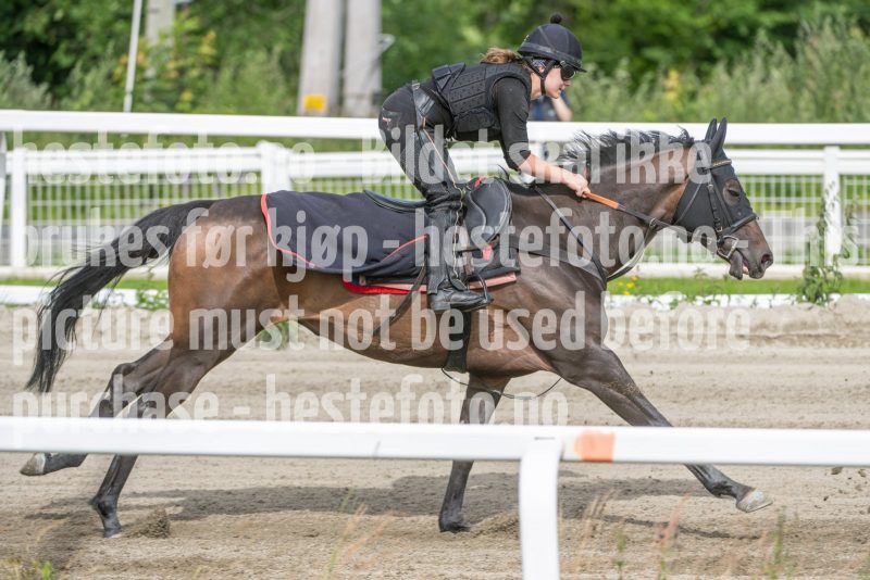 20240706-102036-DSC_4567