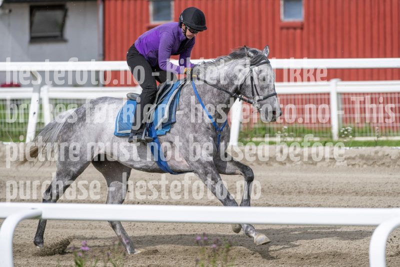 20240706-102052-DSC_4662