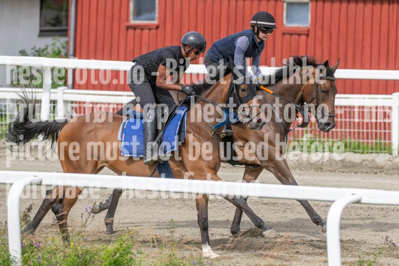 20240706-103048-DSC_5139