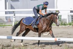 20240706-095305-DSC_3283