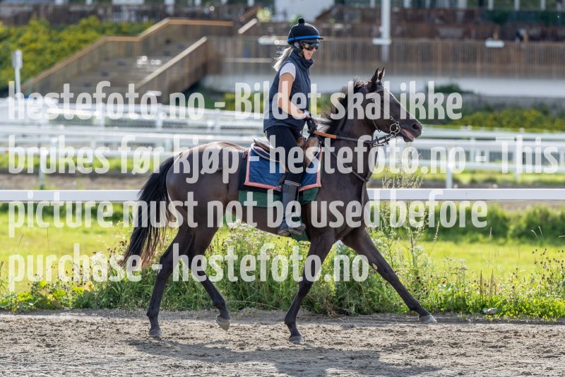 20220806-094308-DSC4931