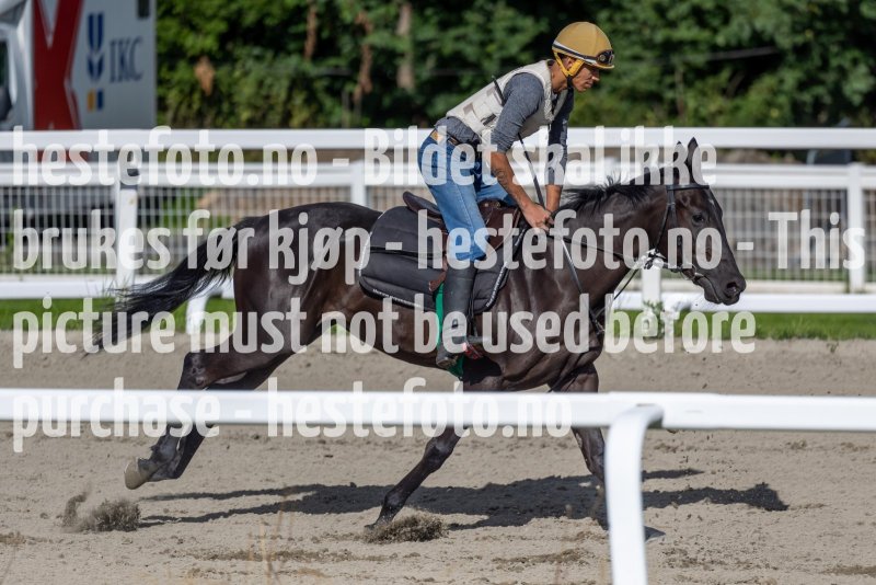 20220806-095522-DSC5072