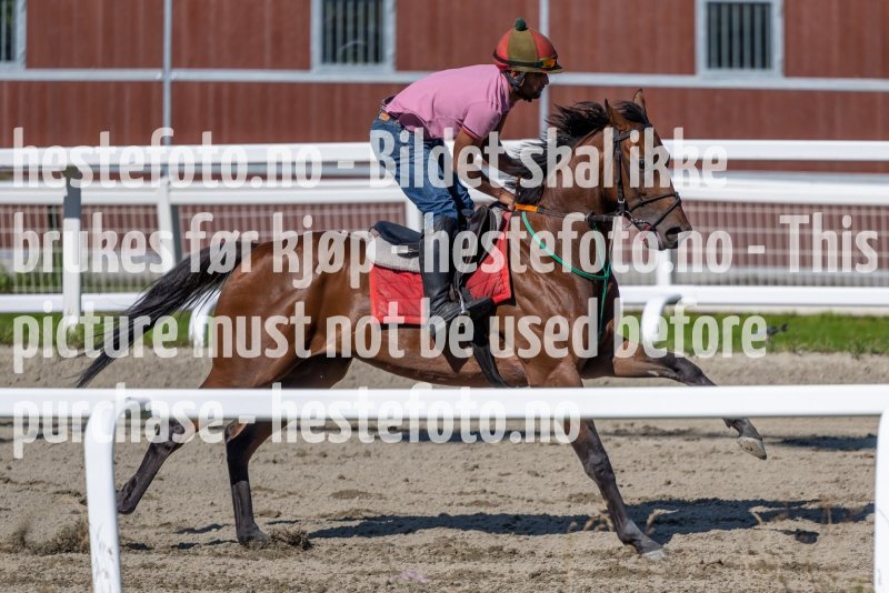 20220806-105105-DSC5203