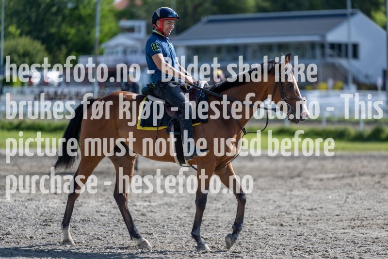 20220806-105116-DSC5225