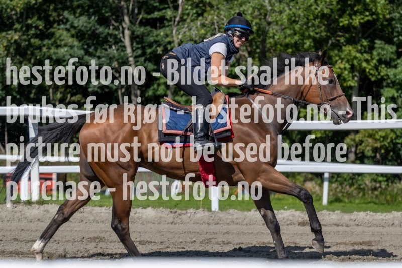 20220806-114208-DSC5276