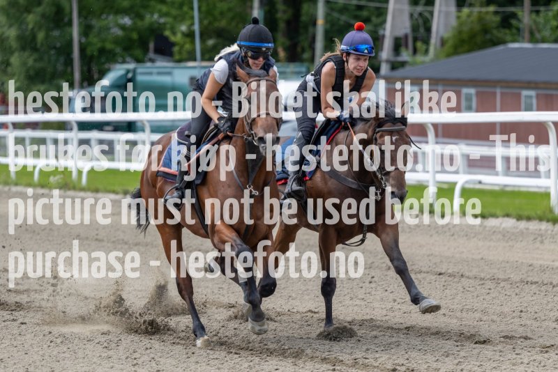 20220806-124817-DSC5586