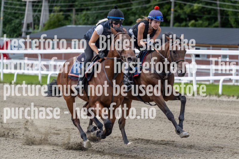 20220806-124818-DSC5589