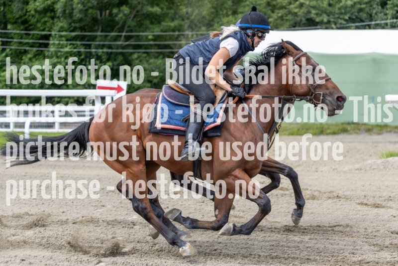 20220806-124818-DSC5596