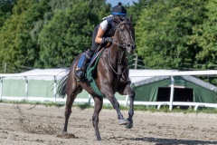 20220806-094826-DSC5003