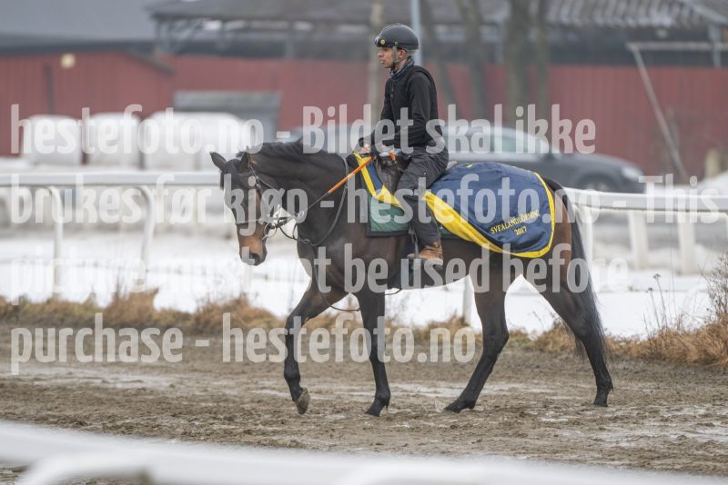 20260307-110748-DSC_5479