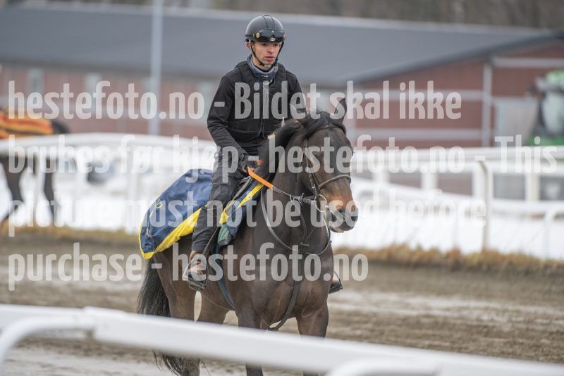 20260307-111336-DSC_6052