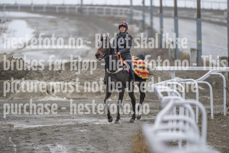 20260307-111351-DSC_6127