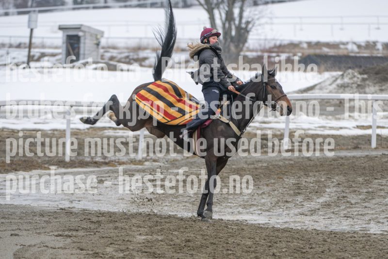 20260307-112128-DSC_6398