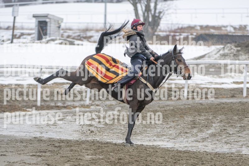 20260307-112128-DSC_6399
