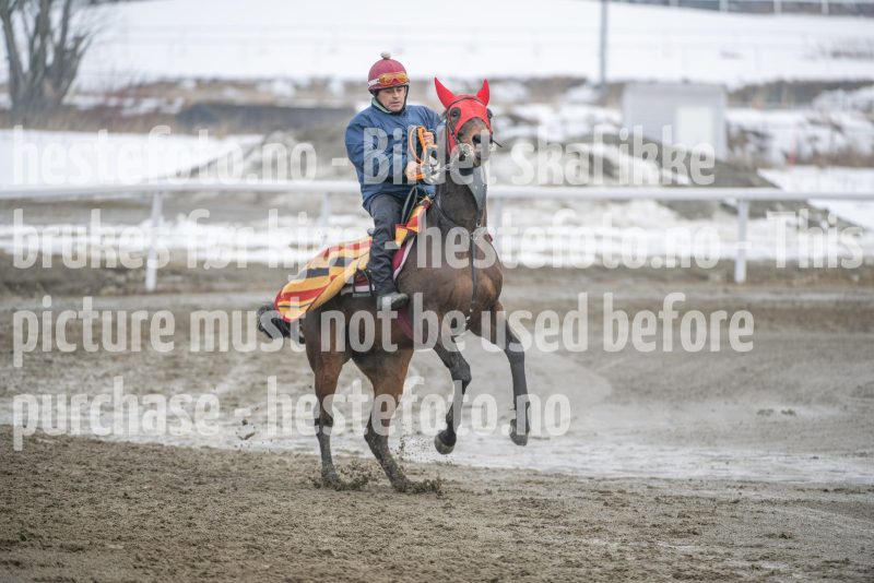 20260307-112141-DSC_6536