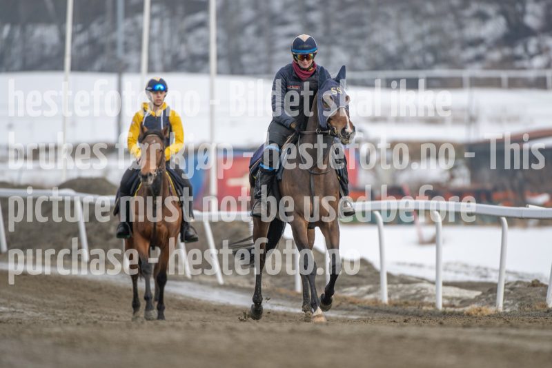 20260307-132253-DSC_6868