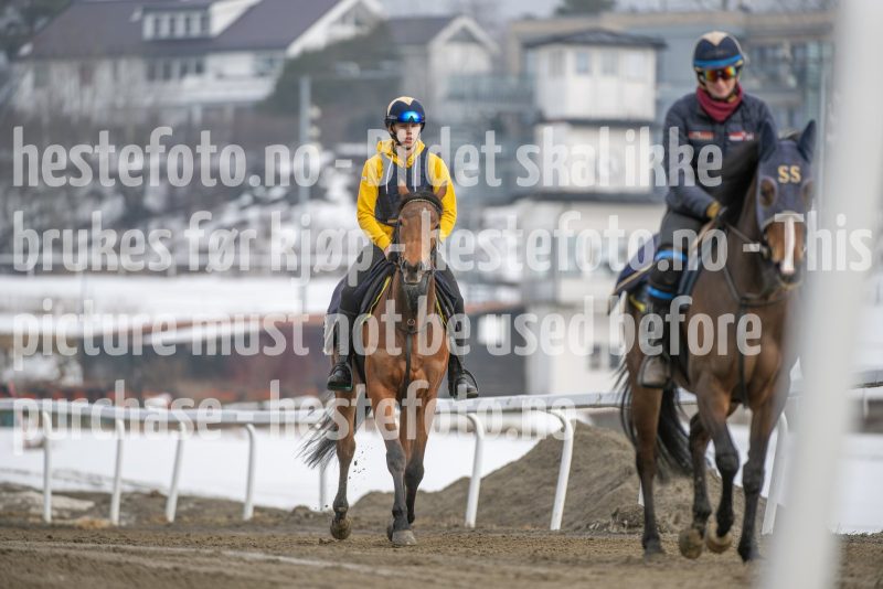 20260307-132301-DSC_6916