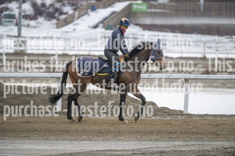 20260307-132539-DSC_6951