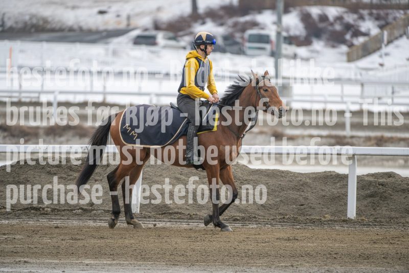 20260307-132541-DSC_6958