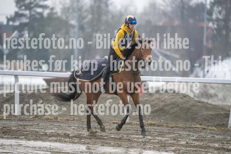 20260307-132946-DSC_7285