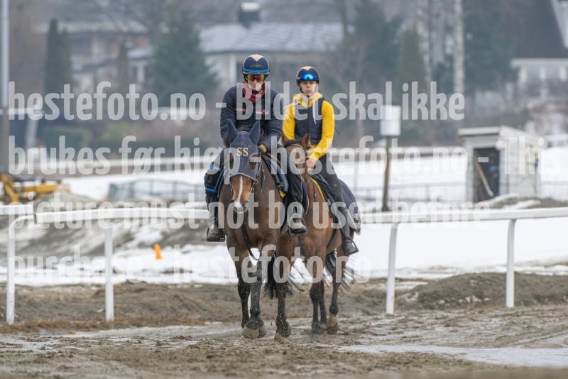 20260307-133211-DSC_7506