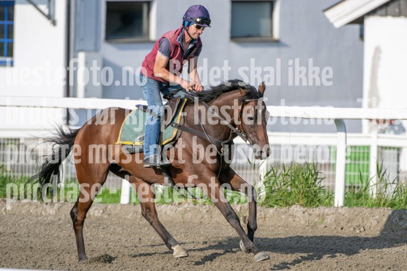20240907-092602-DSC_6096