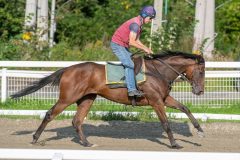 20240907-092605-DSC_6120