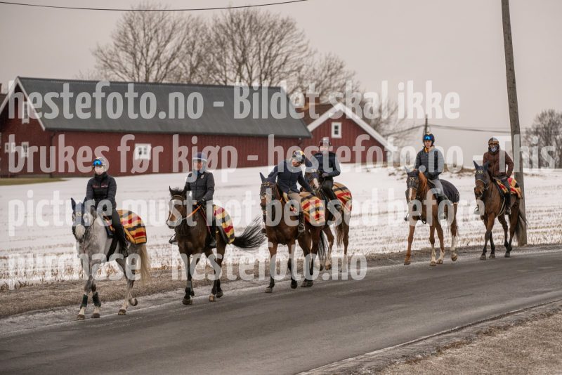 20250208-095834-DSC_8008