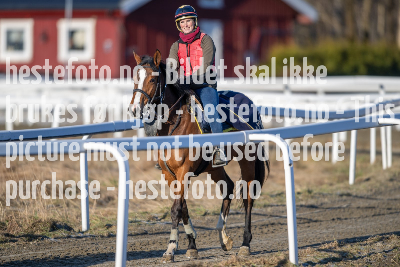 20240308-093933-DSC_5686