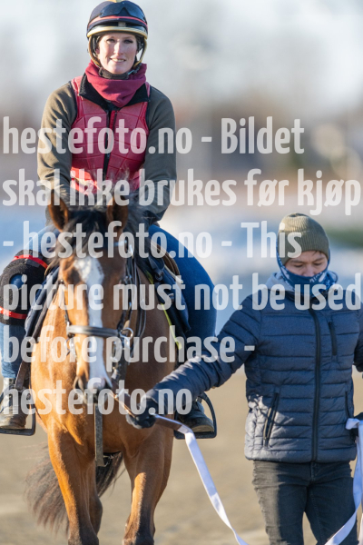 20240308-094318-DSC_5814