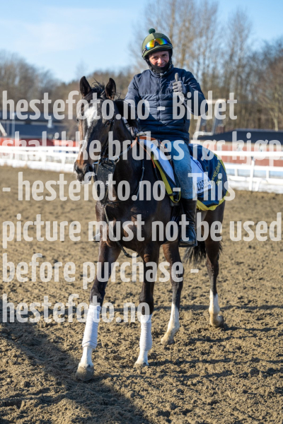 20240308-105411-DSC8741