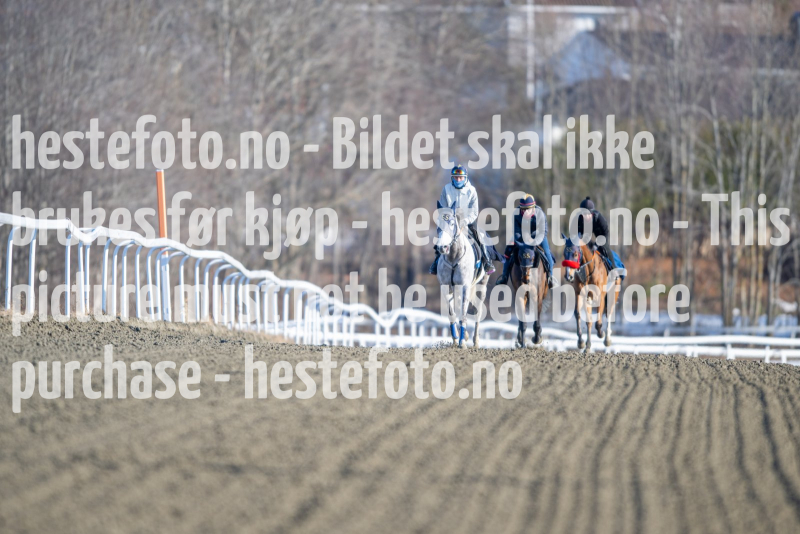 20240308-105439-DSC_6626