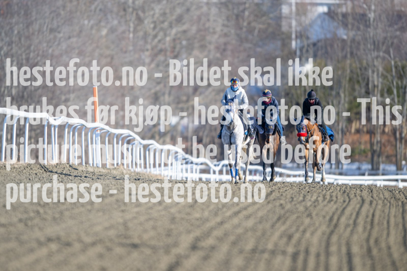 20240308-105441-DSC_6640
