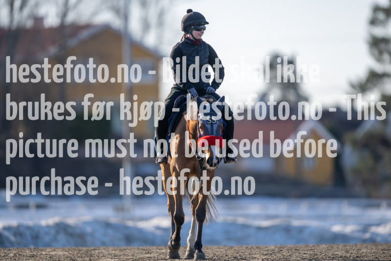 20240308-105713-DSC_6812