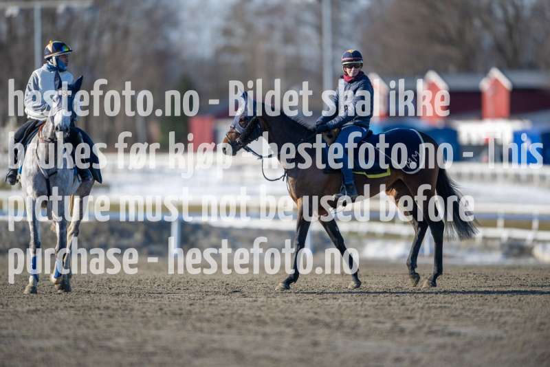 20240308-105817-DSC_6913