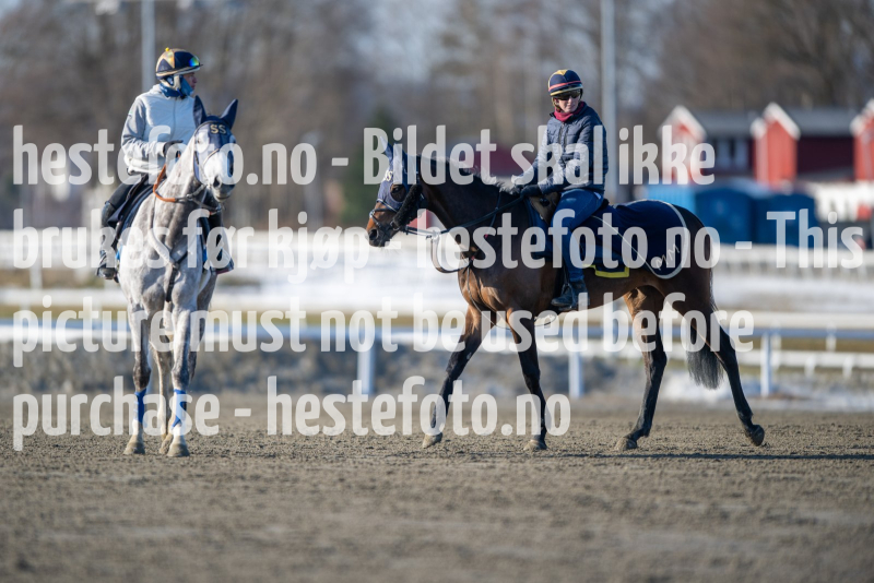 20240308-105818-DSC_6921