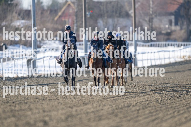 20240308-114737-DSC_7110