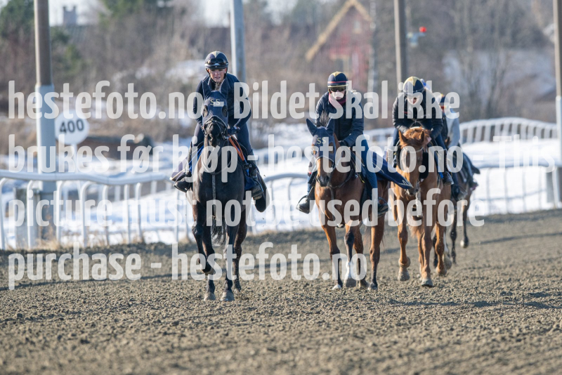20240308-114740-DSC_7126