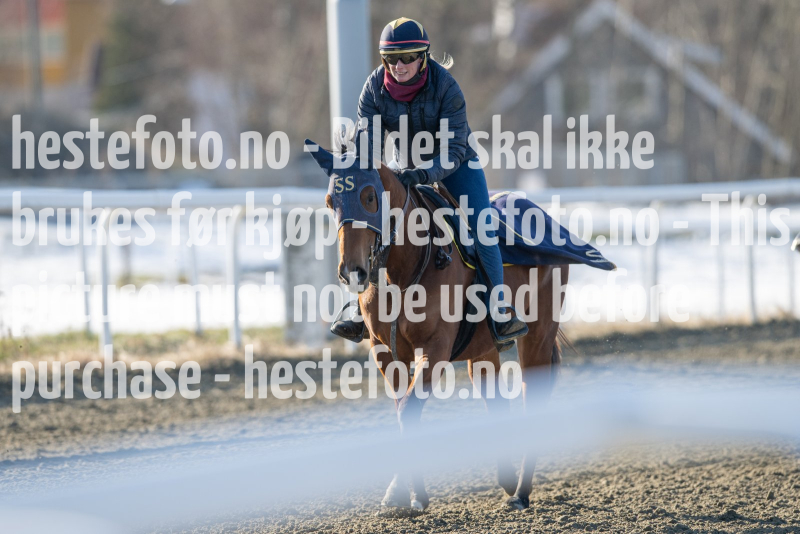 20240308-115215-DSC_7333