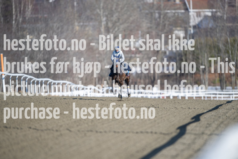 20240308-124054-DSC_7642